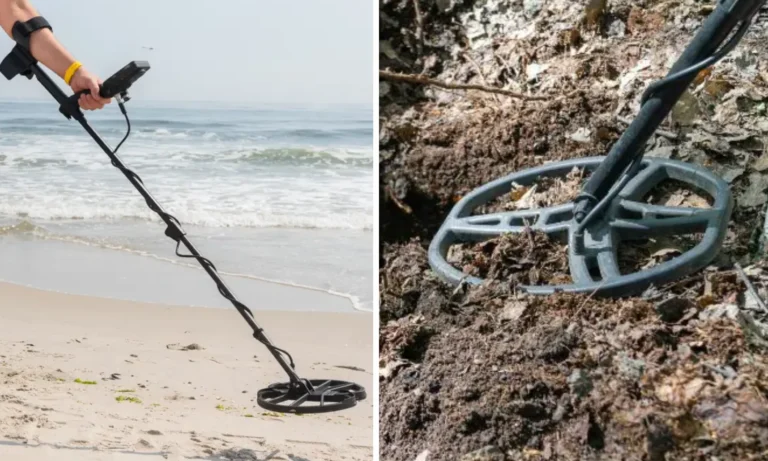 Metal Detecting Laws 2026 What's Legal, Permits and Restricted Areas